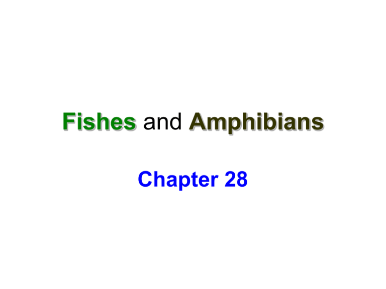 Notes Fishes And Amphibians