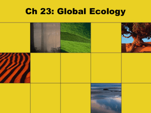 Chapter 23 Ecology