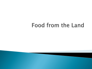 Food from the Land
