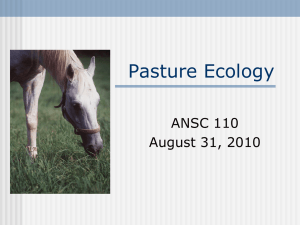 Pasture Ecology