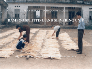 Bamboo Splitting PPT - International Network for Bamboo and Rattan