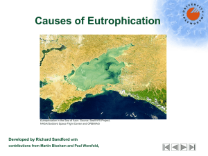 Causes of Eutrophication