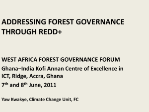 REDD GOVERNANCE - Forest Governance Forum