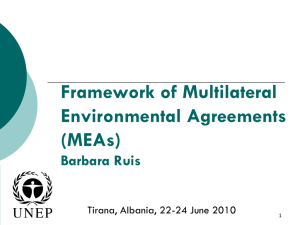 What are Multilateral Environmental Agreements? (MEAs)