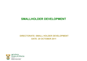 Smallholder Development