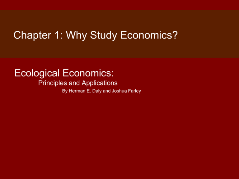 why study economics college essay