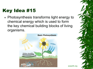 Key Idea 15 Photosynthesis