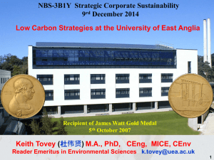 NBS-3B1Y Strategic Corporate Sustainability