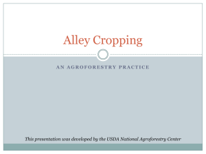 Alley Cropping - National Agroforestry Center