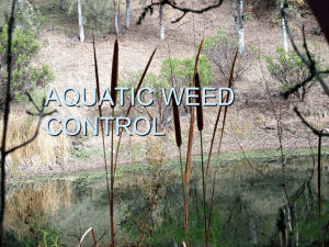 AQUATIC WEED CONTROL