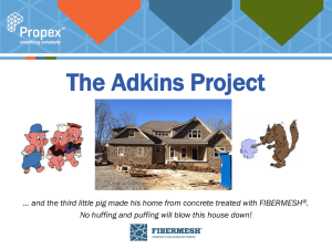 Adkins Project (Fibermesh)