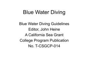 Blue Water Diving