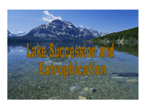 To access Lake Succession Notes  Click Here