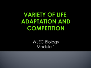 variety of life, adaptation and competition