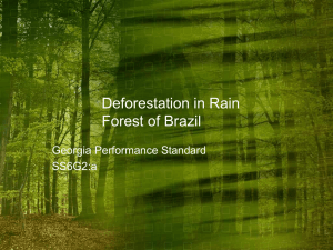 Deforestation in Rain Forest of Brazil