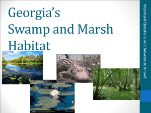 Georgia`s Swamp and Marsh Habitat Region