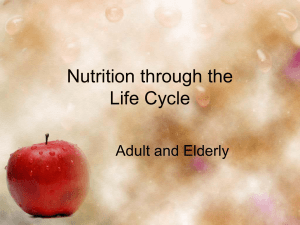 Adult and Elderly Nutrition
