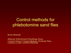 Sampling, identification and control of phlebotomine sand flies
