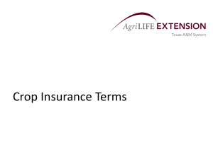 Crop Insurance Terms - Extension Agricultural Economics