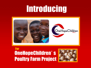 OneHopeChildren Poultry Project Proposal
