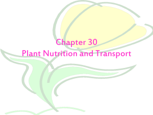 Chapter 30 Plant Nutrition and Transport
