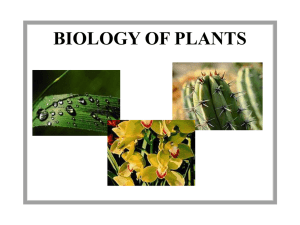 Plant Biology Power Point