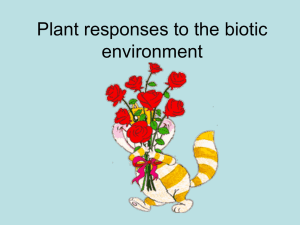 Plant responses to the biotic environment