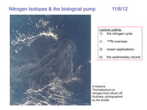Nitrogen isotopes and the biological pump