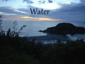 Water Cycle/Watershed