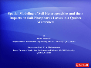 Spatial Modeling of Soil Heterogeneities and their Impacts on Soil