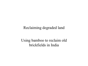 Reclaiming degraded land PPT