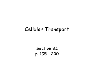 Section 8.1 Cellular Transport