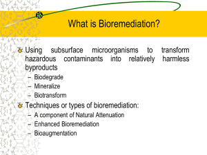 Bioremediation
