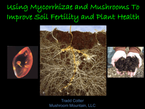 Mycorrhizae VABC Conference Text Slides