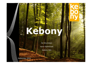 Kebony Technology
