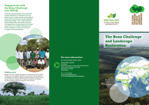 The Bonn Challenge and Landscape Restoration