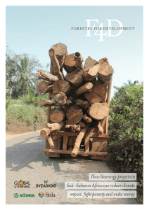 How bioenergy projects in Sub-Saharan Africa can reduce climate