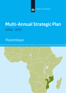 Multi-Annual Strategic Plan Mozambique 2014