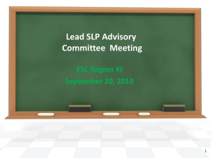 Lead SLP Advisory Committee Meeting