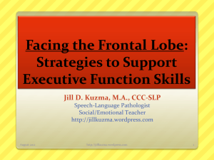 Executive Function - Jill Kuzma`s SLP Social & Emotional Skill