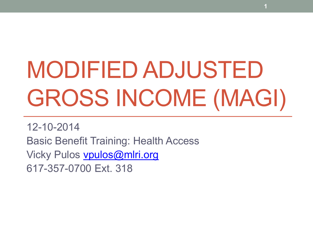 What Is Modified Adjustable Gross Income