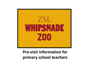 WZ pre-visit Primary Teacher resource pack