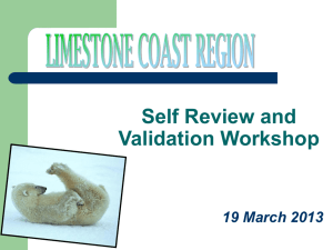 Self Review Validation Workshop 2013