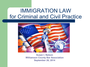 Immigration Law for Civil and Criminal Cases