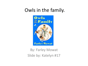 Owls in the family - Katelyn Spangler october 11