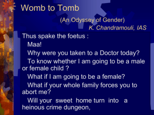Womb to Tomb