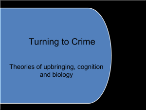 Turning to Crime PPT GM 2