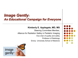 Kimberly E. Applegate, Image Gently An Educational