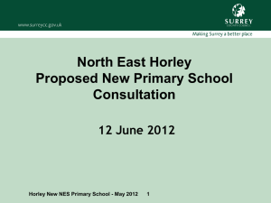 North East Horley Proposed New Primary School Consultation 12
