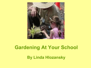 Sharing Gardening With Your Children and Grandchildren